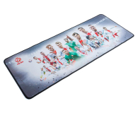 MODECOM PM-MC-101-PL-RP2 - 434017 - zdjęcie 2